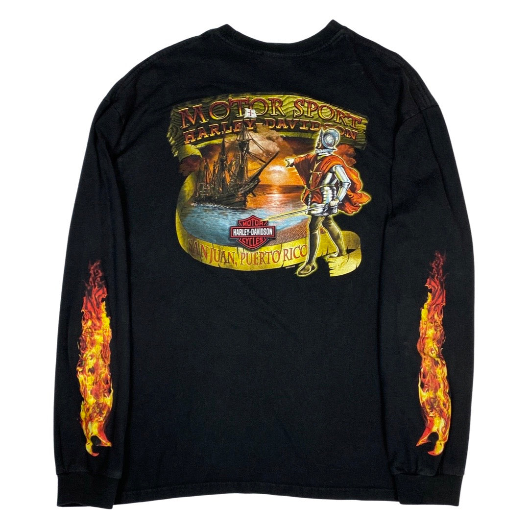 2011 Harley Davidson Eagle Flame Long Sleeve Tee •XL