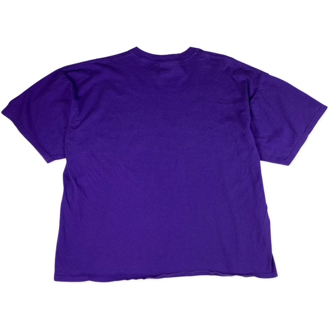 Vintage 2000s Arizona Diamondbacks Tee •2XL