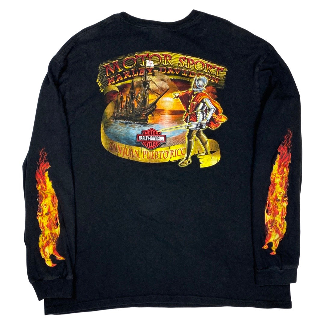2011 Harley Davidson Eagle Flame Long Sleeve Tee •XL