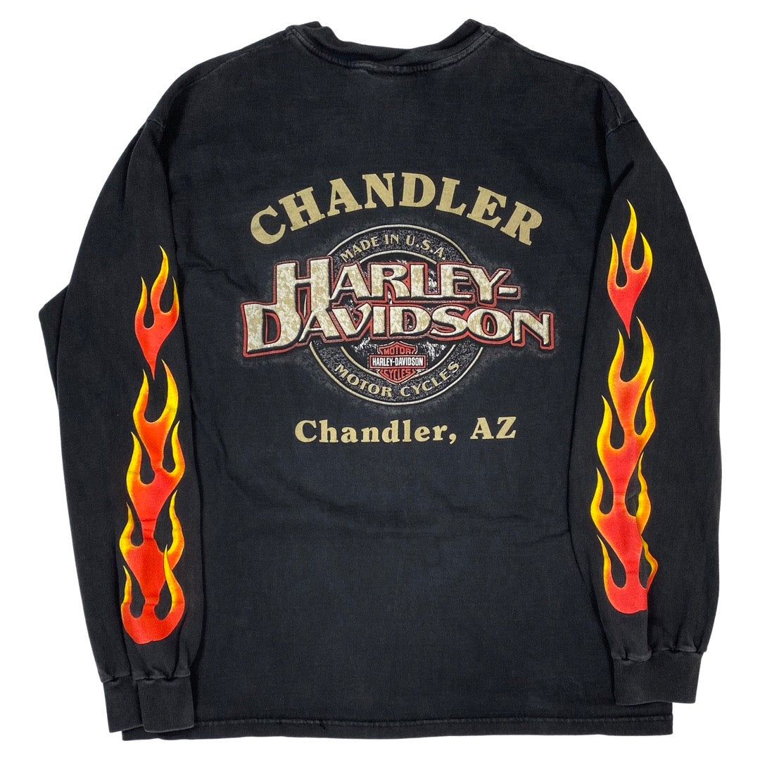 Vintage 2001 Harley Davidson Eagle Flames Long Sleeve Tee •Large